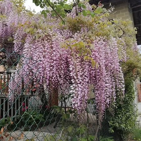 La Casa Del *